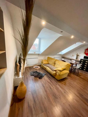 Appartement cosy centre ville Sarreguemines - 3 personnes